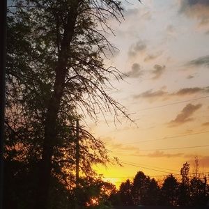 Meet your Posher, Payten